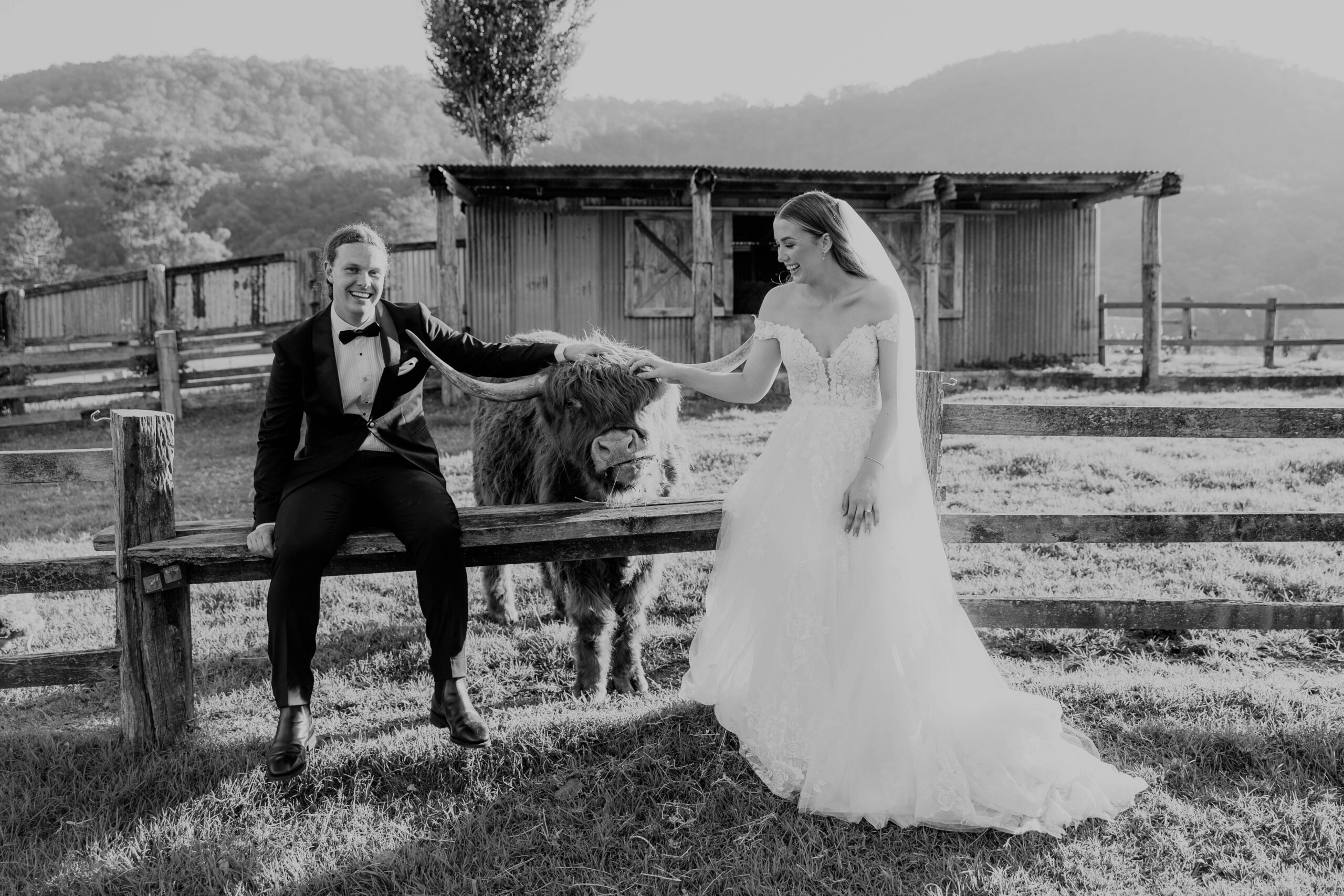 Wedding at Cowbell Creek in Gold Coast Hinterland